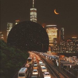 Meet your Posher, Professor Cat